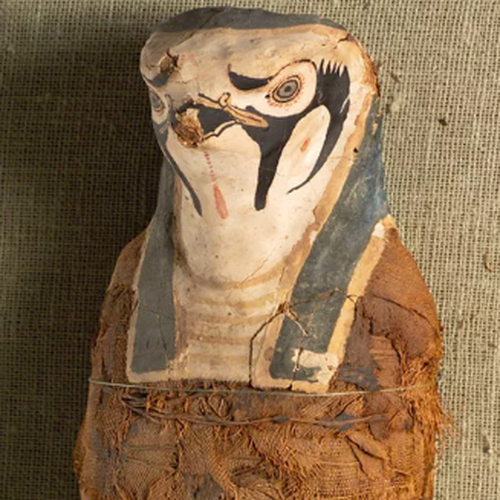 History: Ancient Egyptian mummies contain unexpected remains