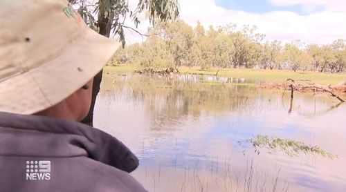 Forbes farmer Scott Darcy said if the floods matched the 2016 event, he expected to lose up to $500,000 in damages.
