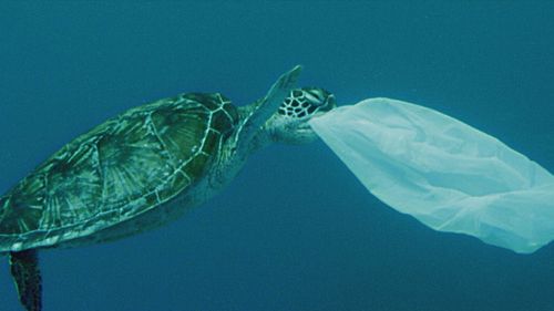 New advertising campaign by NSW government about plastic pollution ahead of single-use ban.