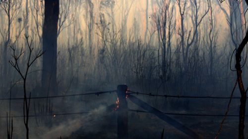 While the fire is still not fully  contained, firefighters managed to spare homes from destruction.