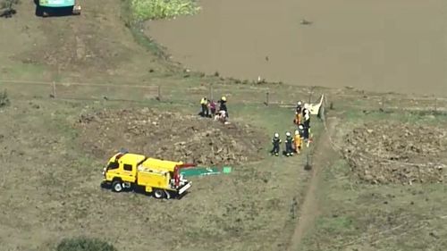 Horse rescued from mud pit