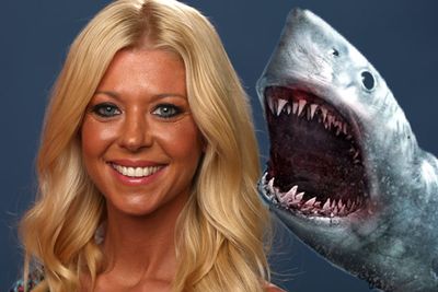The <i>Sharknado: The Second One</i> star told <i>GQ</i> magazine: "You know, it actually can happen. I mean, the chances of it happening are very rare, but it can happen actually. Which is crazy. Not that it - the chances of it are, like, you know, it's like probably 'pigs could fly'. Like, I don't think pigs could fly, but actually sharks could be stuck in tornados. There could be a sharknado."<br/><br/>Scroll for more of the dumbest celeb quotes!