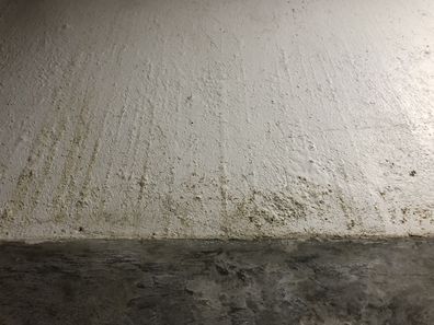 Mould on bathroom wall.