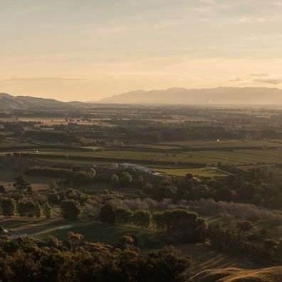 Wairapa wine region wellington new zealand