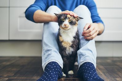 Young man siiting on floor in home kitchen and stroking his cute cat.