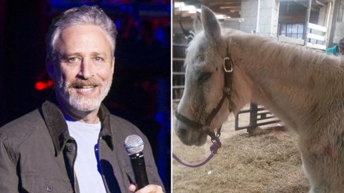 Comedian Jon Stewart adopts pony abandoned after owner shot it 130 times with paintballs