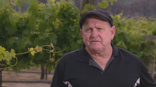 Winemaker Mike Hayes said the Wallangarra fire damaged a $2 million crop.