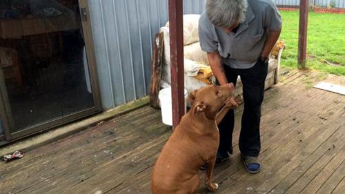 Dog puts aside rivalry to save cats trapped in burning garage