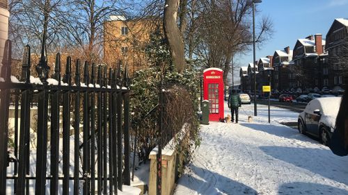 Londoners woke up to thick snow on Wednesday. (Gabrielle Adams)