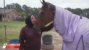Last chance home for horses in danger of closing 
