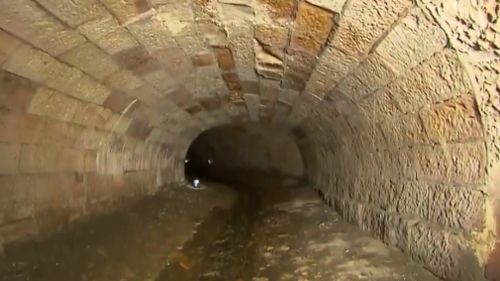 The Tank Stream is cared by by Sydney Water. (9NEWS)