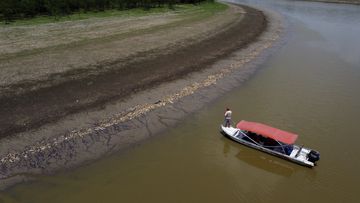 A fisherman stands on his boat as he navigates near thousands of dead fish awash on the banks of Piranha Lake due to a severe drought in the state of Amazonas in Manacapuru, Brazil on Wednesday, September 27.