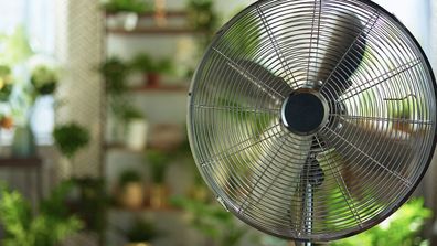 Fan summer heat hacks