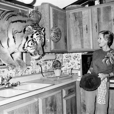 Tippi Hedren's pet tigers and lions