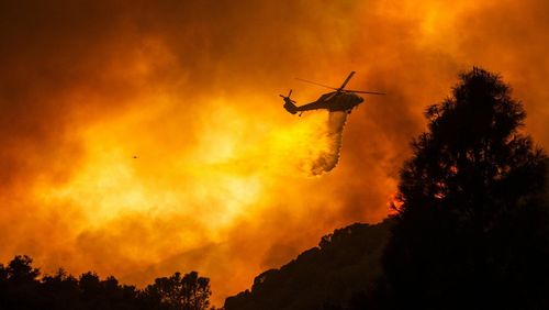 A huge forest fire that prompted evacuations north of Los Angeles flared up around noon Saturday, August 15, sending up a cloud of smoke as it headed toward thick, dry brush in the Angeles National Forest. 