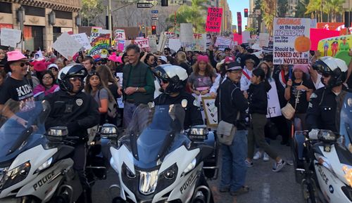 Thousands turned out for the LA Women's March, one of dozens around the world.