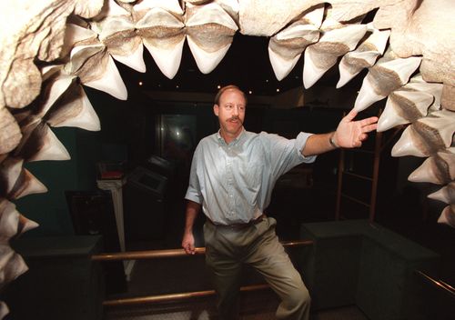 A man stands in the five-foot mouth of a fossil shark jaw. The shark is called Carcharoles Megalodon and was large enough to swallow a small car. (Getty)