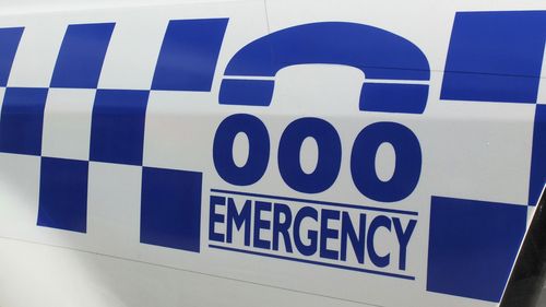 police generic