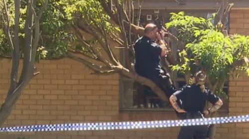 Police combed the scene for evidence. (9NEWS)