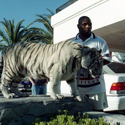 Mike Tyson's pet tigers