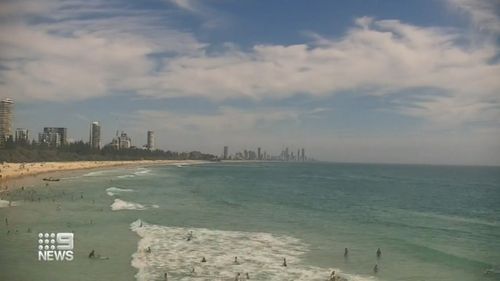 Beach-goers warned to be on the lookout for sharks as sightings are expected to increase along the gold coast