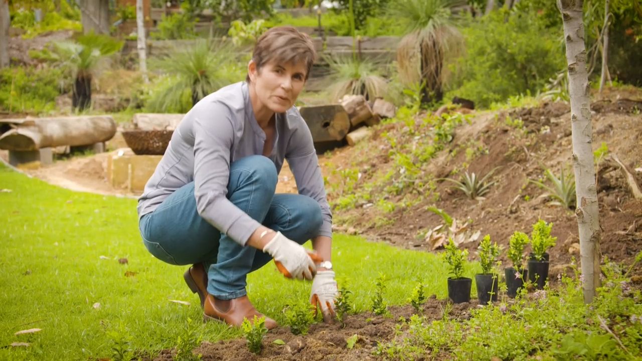 Watch The Garden Gurus Season 29 Catch Up Tv Watch The Garden Gurus Season 29 Catch Up Tv