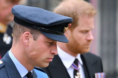 Prince William and Prince Harry