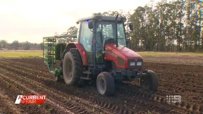 Farmers who have lost everything in Sydney's latest floods are broken.