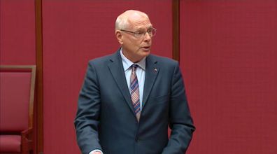 Senate Stillborn inquiry Jim Molan