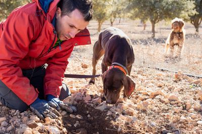 Truffle hunting in Italy