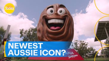 'Big Sultana' joins Australia's list of supersized roadside icons