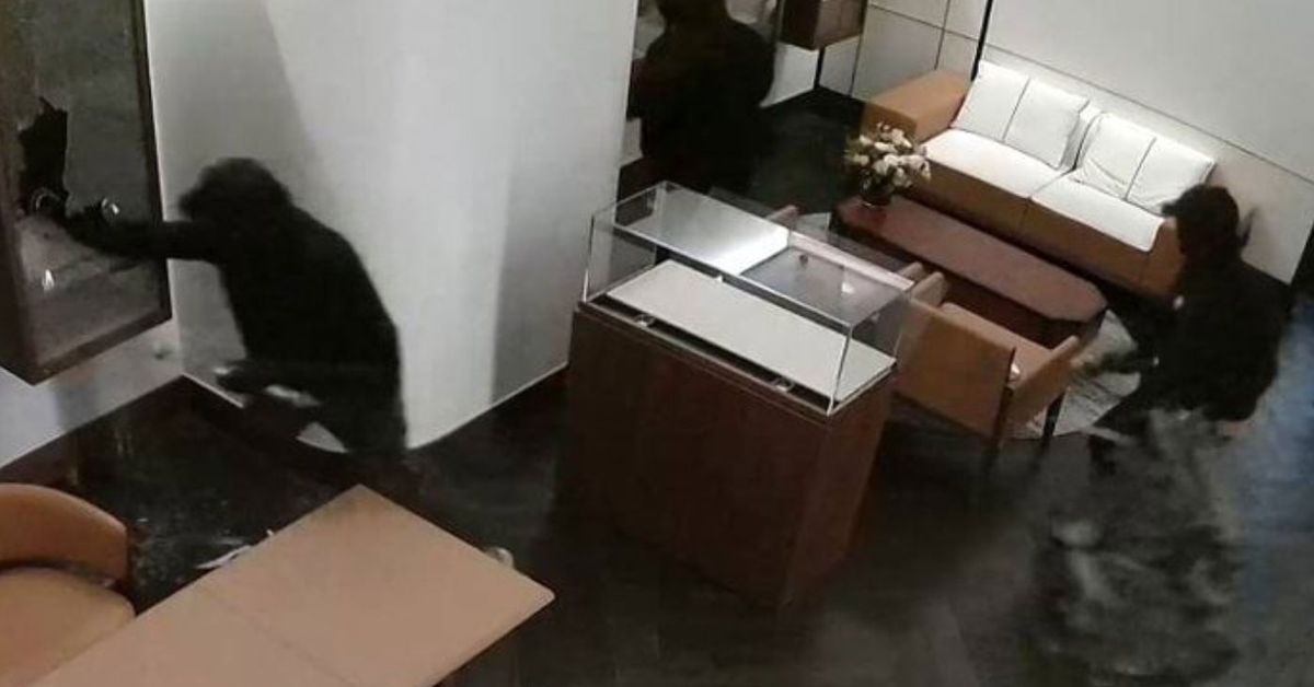 Police hunt robbers who stole 550,000 worth of luxury handbags from