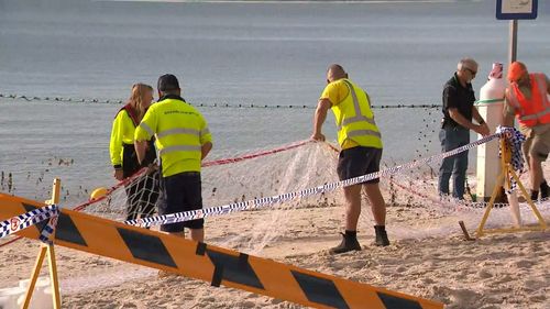 The beach remains closed. 