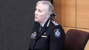 Queensland Police Commissioner Katarina Carroll has revealed she has been subject to harrassment during her career.