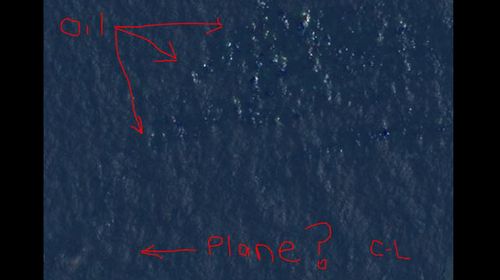 Courtney Love 'finds' missing Malaysian jet