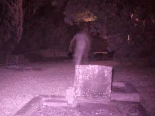 Paranormal investigators photograph 'anomaly' stalking Sydney cemetery