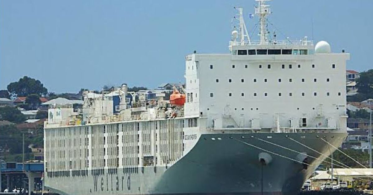 Shipping test. Livestock Vessel. Livestock Carrier. Livestock ship. Ocean Drover IMO 9232852.