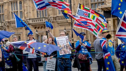 Protesters outside the UK Parliament in central London. (AAP).