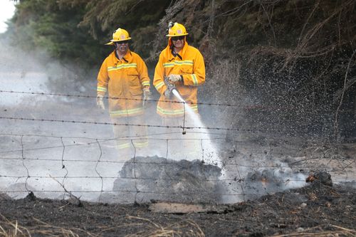 Hundreds of livestock were killed in the fires. (AAP)