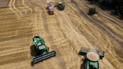 The Russian war in Ukraine has brought the world to the brink of a food crisis. In this image, farmers harvest with their combines in a wheat field near the village Tbilisskaya, Russia, July 21, 2021.
