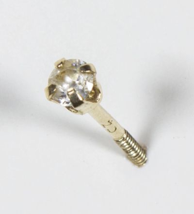 <strong>$25,000 Nose Ring</strong>