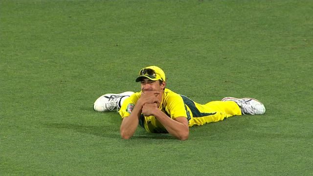 Mitchell Starc takes 'catch of the summer'
