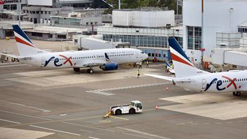 Rex aircraft at an airport.