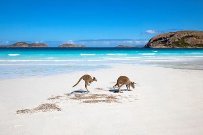 Lucky Bay, Australia