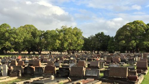 Woronora Cemetery. (Google Maps/ File Image)