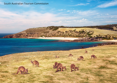 Winner: Stokes Bay, Kangaroo Island, South Australia
