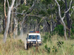 Queensland Police bush search scrublands car in grass and trees