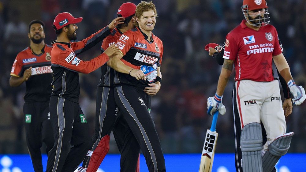 Shane Watson is congratulated after a wicket. (AFP)