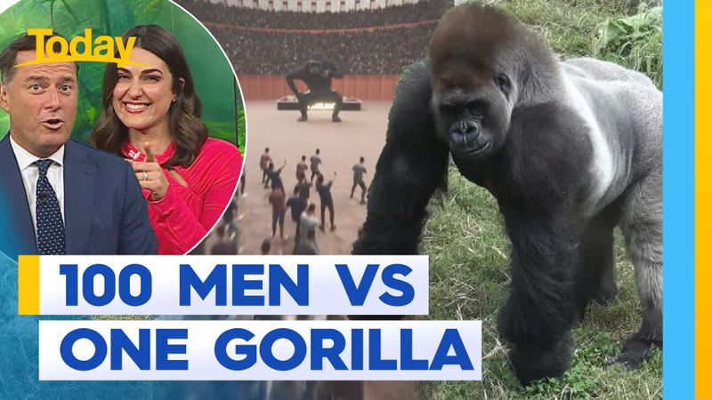 Could 100 men beat a gorilla in a fight? | Nine.com.au