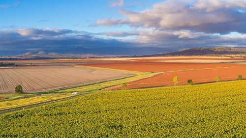 The winter cropping season is off to a cracking start